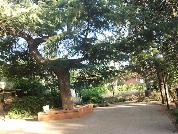 Waldorf Artabán - Galapagar