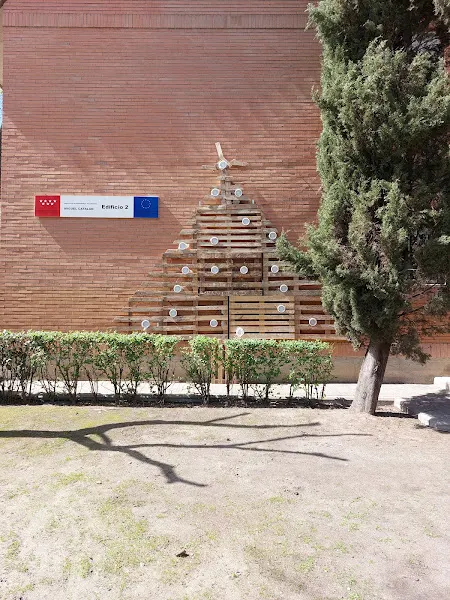 IES Miguel Catalán - Instituto de secundaria en Coslada - foto 2