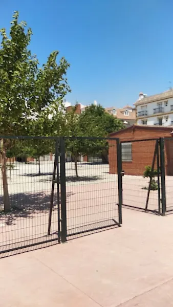 CEIP José Luis Villar Palasí - Colegio público en Vélez-Málaga - foto 2