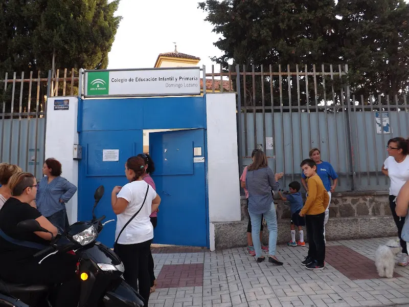 CEIP Domingo Lozano