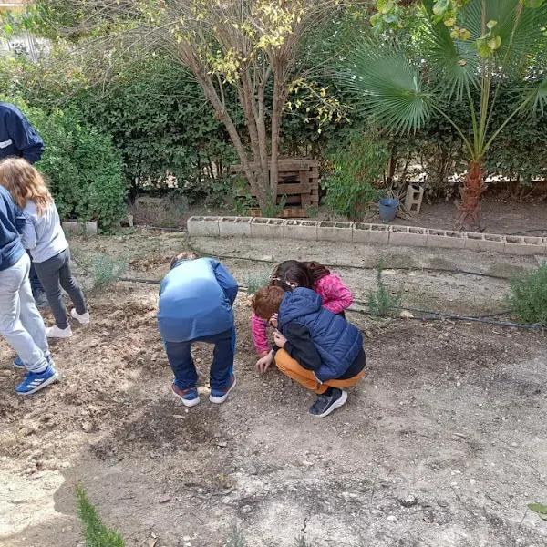 CEIP Tierno Galván