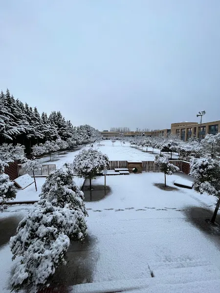 Paz de Ziganda Ikastola - Centro educativo en Villava/Atarrabia - foto 3