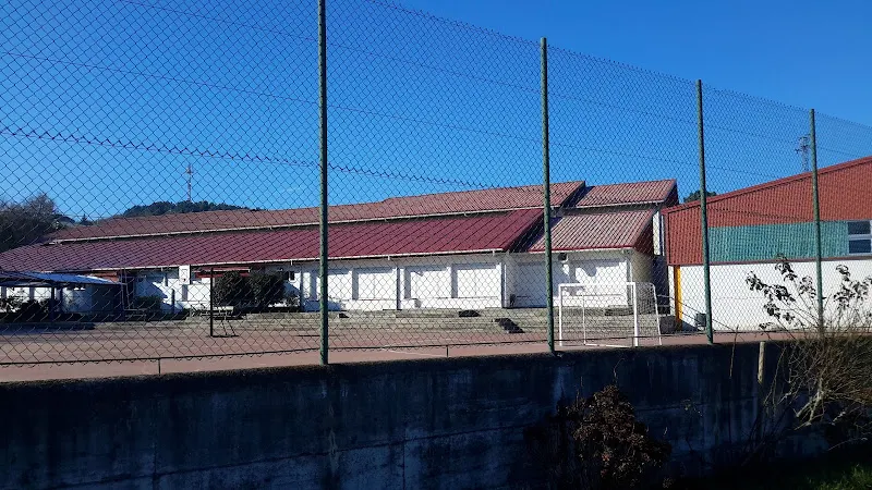Colexio Público Curros Enríquez - Colegio público en Celanova - foto 2
