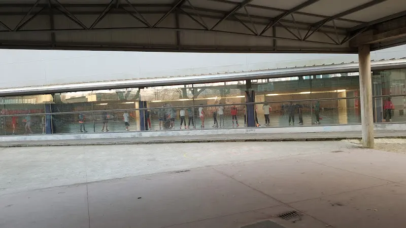 CEIP Manuel Vidal Portela - Colegio público en Pontevedra - foto 2