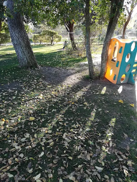 Centro Privado de Educación Infantil y Primaria El Ardal - Colegio privado en San Sebastián de los Reyes - foto 2