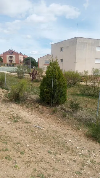 IES Vega del Pirón - Carbonero el Mayor