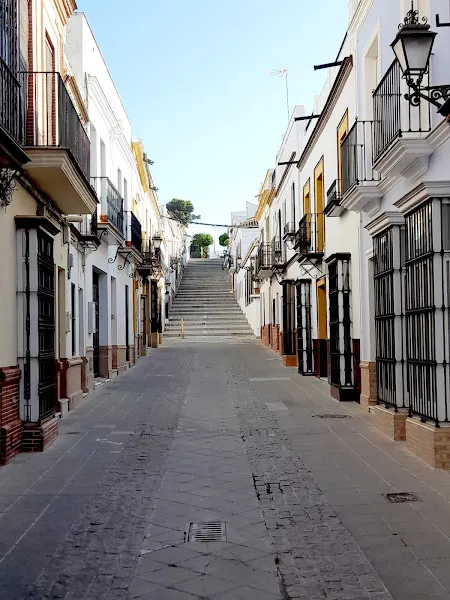 Colegio Público Cerro De San Juan - Colegio público en Coria del Rio - foto 2