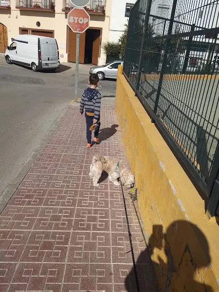 CEIP Ciudad del Sol - Écija