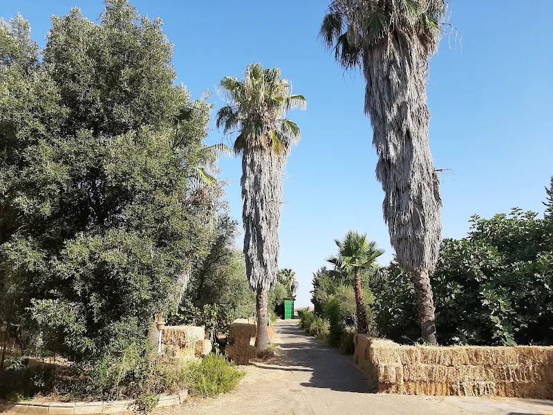 Escuela de Primaria Waldorf Sevilla Girasol - Mairena del Aljarafe