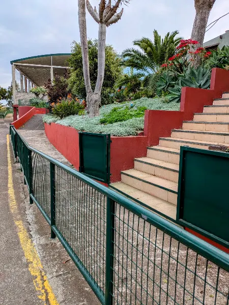 CEIP Acentejo - Colegio público en Matanza de Acentejo (La) - foto 2