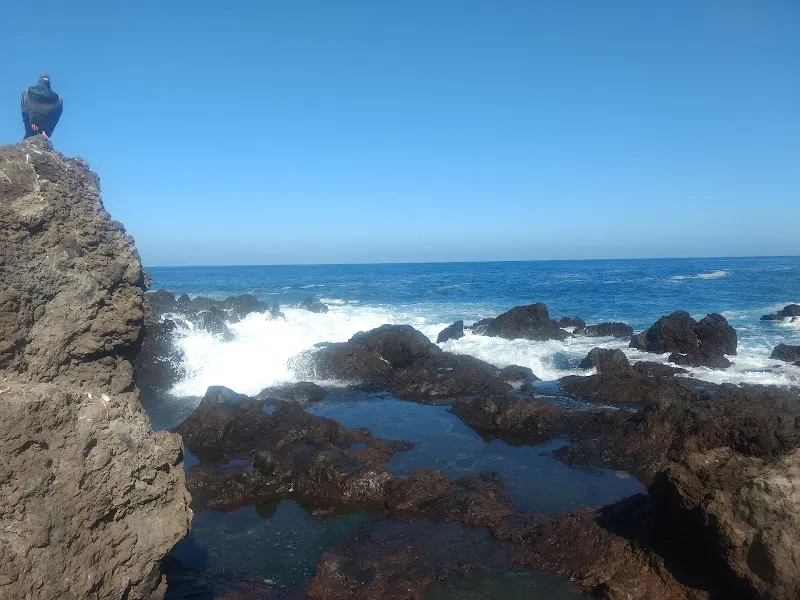 CEIP Punta Brava - Puerto de la Cruz