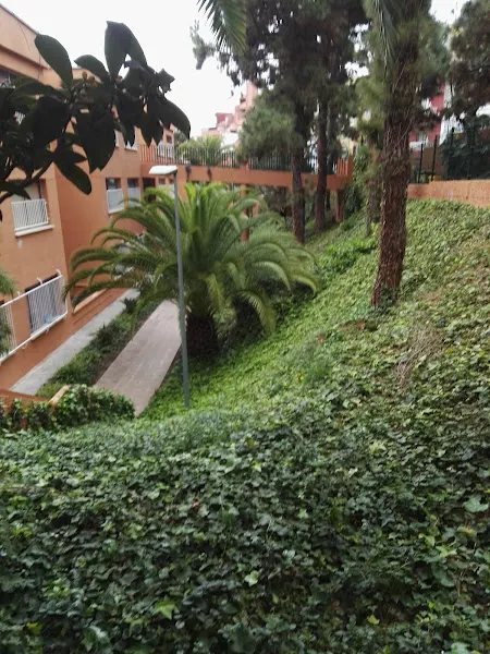 CEIP Agustín Espinosa - Colegio público en Realejos (Los) - foto 2