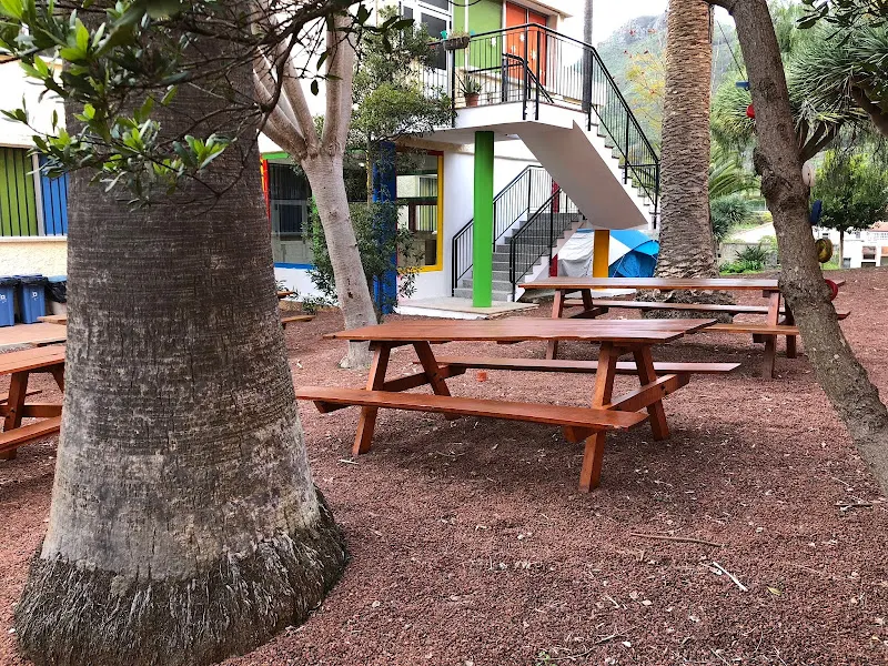 CEIP Teófilo Pérez - Colegio público en Tegueste - foto 2