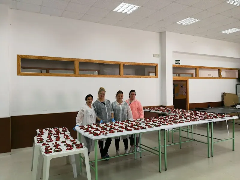 CEIP Marqueses de Manzanedo