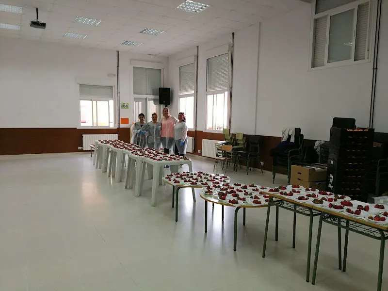 CEIP Marqueses de Manzanedo - Colegio público en Pantoja - foto 2
