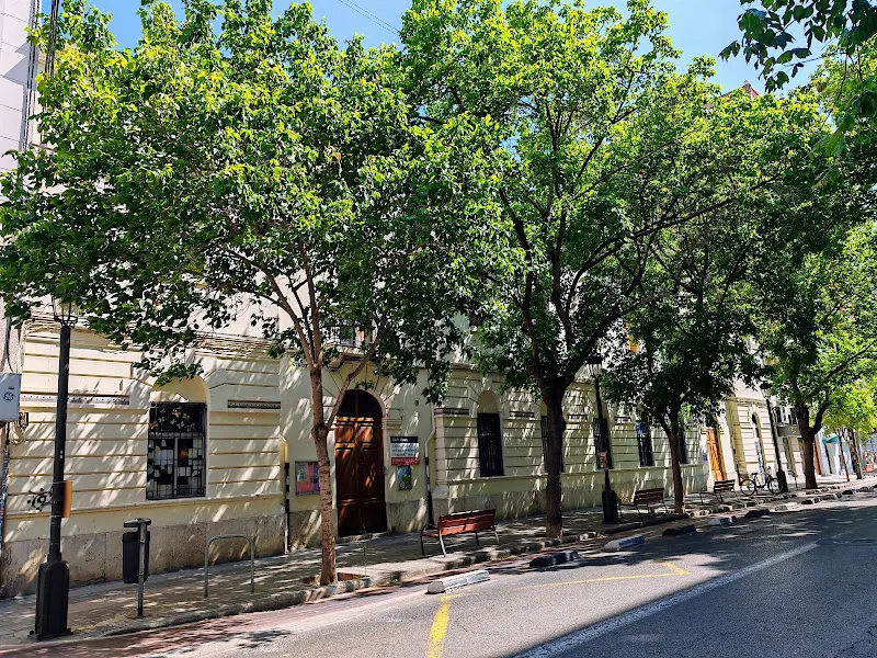 CEIP Lluís Vives - Valencia