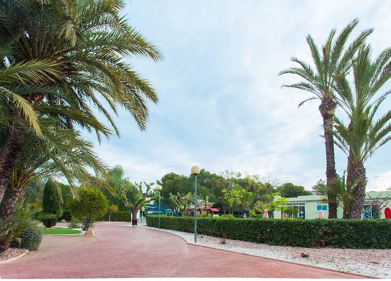 Iale International School - l'Eliana