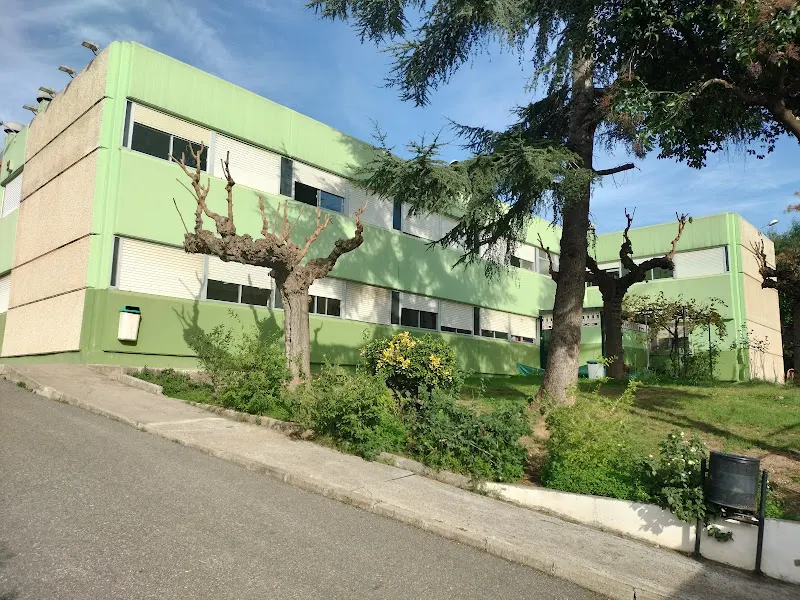 CEIP Pintor Teodoro Andreu - Colegio público en Alzira - foto 2