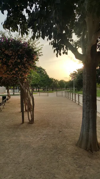 CEIP Paluzié