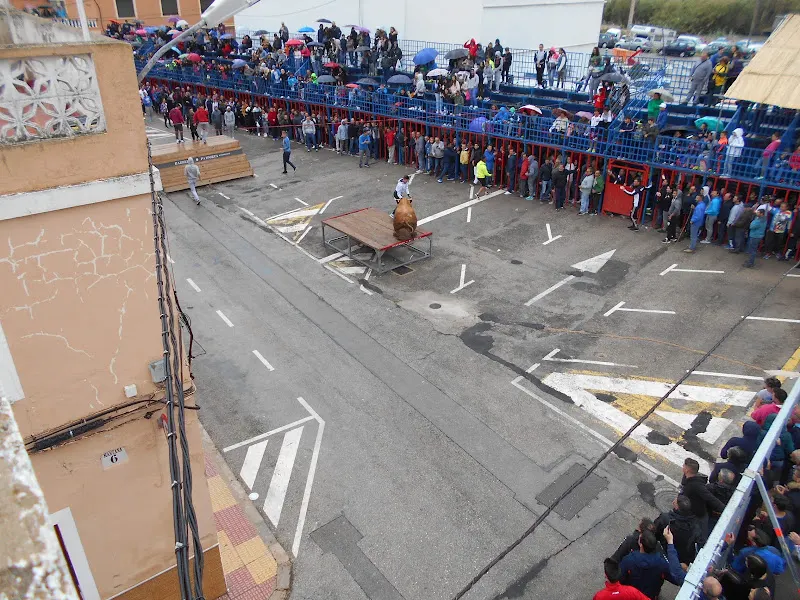 Colegio Público San Agustín - Colegio público en Cullera - foto 2