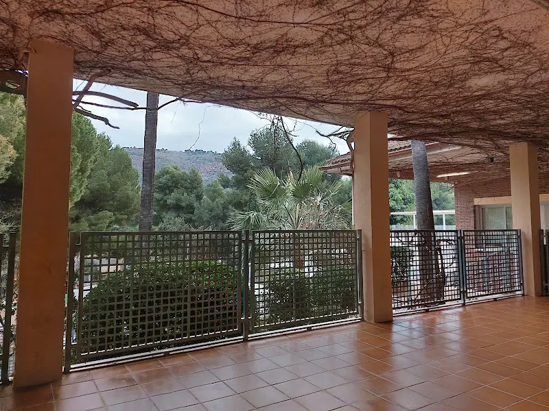 CEIP Emilio Lluch - Colegio público en Sagunto/Sagunt - foto 2