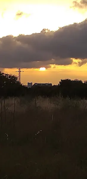 CEIP Lluís Vives - Paiporta
