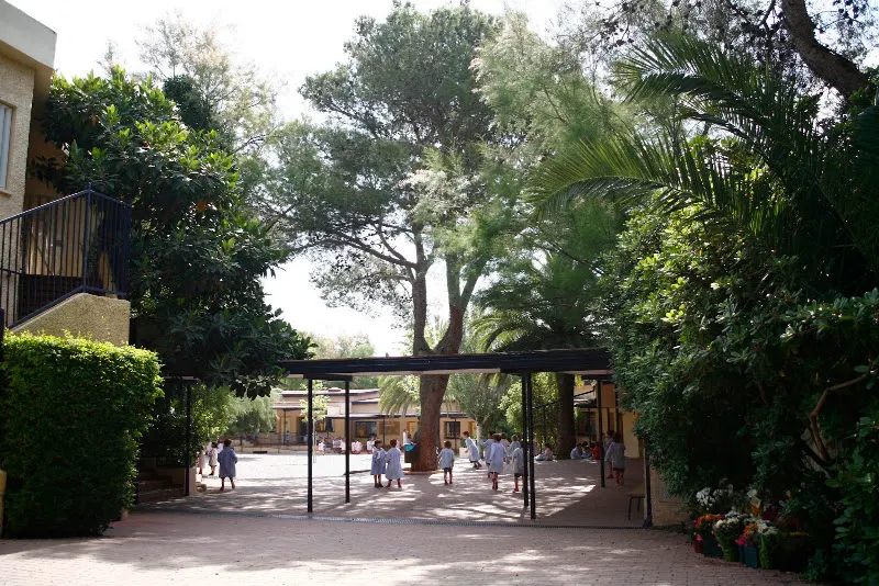 Edelweiss School - Colegio bilingüe en Godella - foto 2