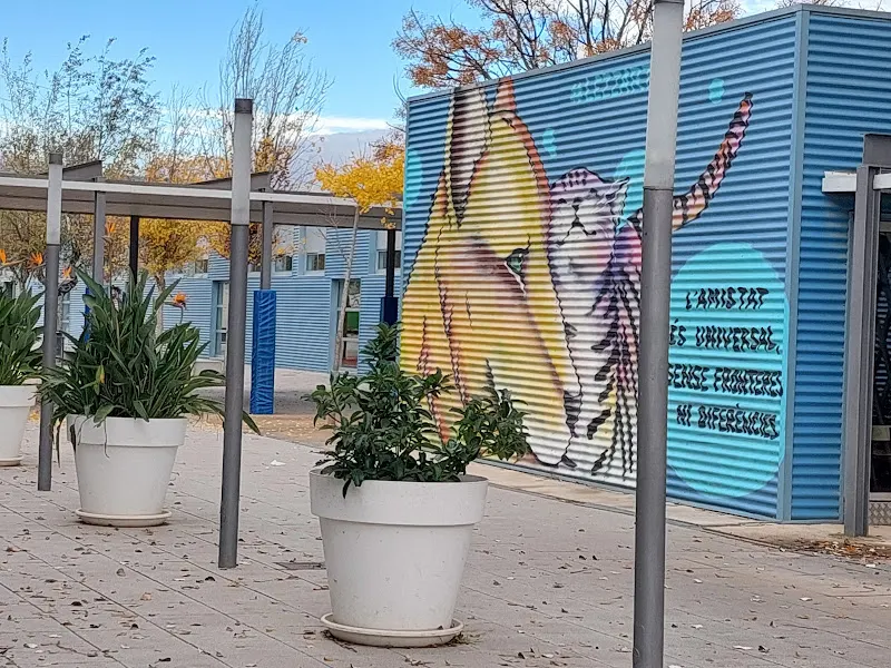 CEIP López Marco - Colegio público en Sollana - foto 2