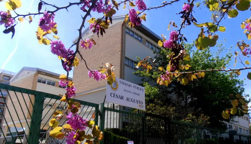 Colegio Público César Augusto - Colegio público en Zaragoza - foto 2