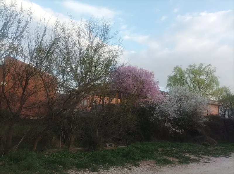 CEIP Francisco de Goya - Calatayud