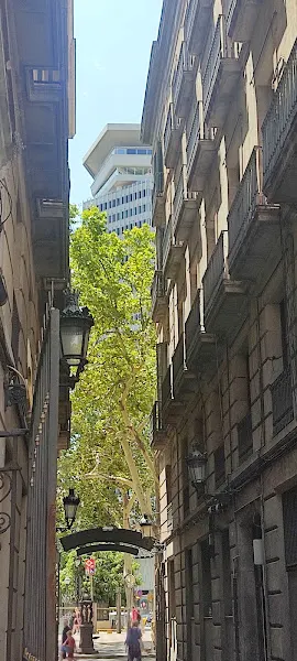 Escuela Drassanes - Institución educativa en Barcelona - foto 2