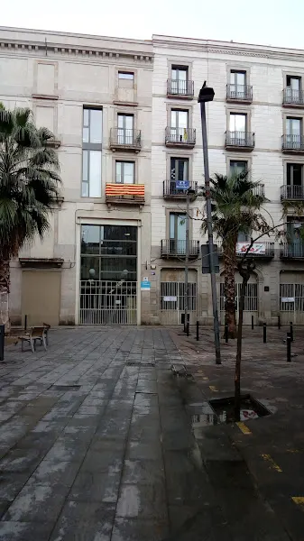 Escuela Drassanes - Institución educativa en Barcelona - foto 3