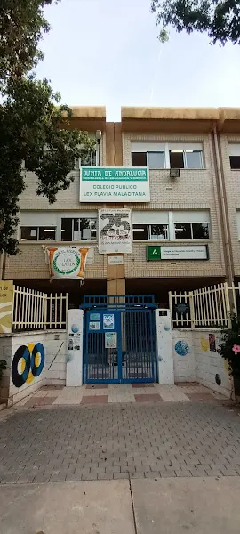 CEIP Lex Flavia Malacitana - Colegio público en Málaga - foto 2