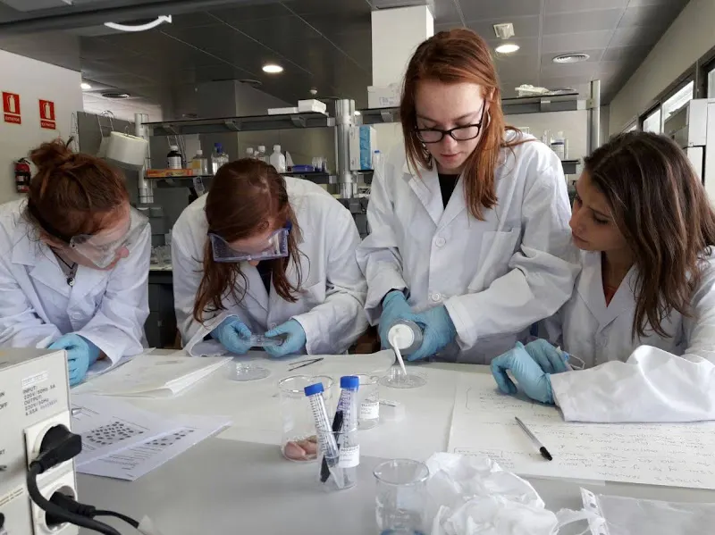 Palma College | Sixth Form College - Palma