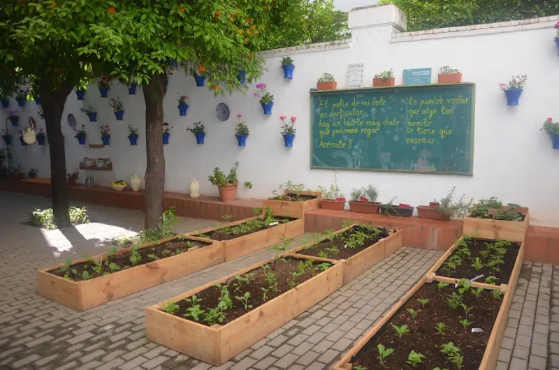 CEIP López Diéguez