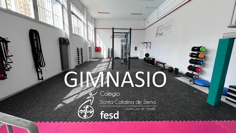 Colegio Santa Catalina de Siena FESD