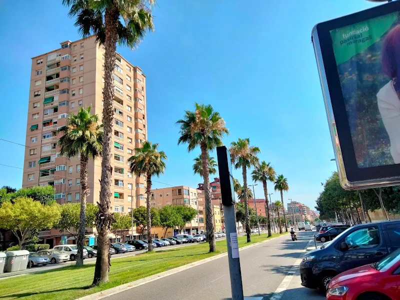 Escuela Josep Boada - Escuela de primaria en Badalona - foto 2