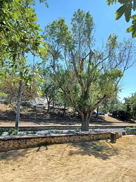 CEIP Lola Anglada - Badalona
