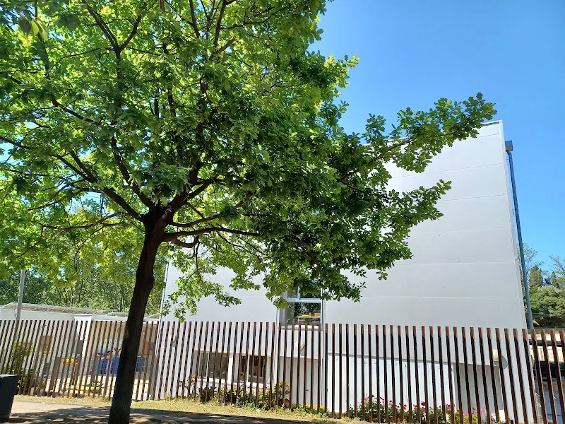 CEIP Lola Anglada - Escuela de primaria en Badalona - foto 2