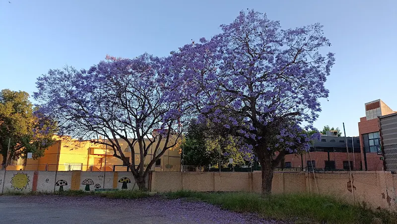 Centro Público de Educación de Adultos CEA Cartagena - Cartagena