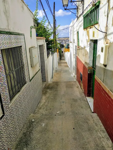 Colegio Público Torresoto - Colegio público en Jerez de la Frontera - foto 2
