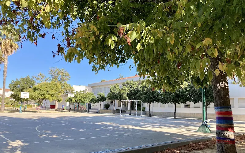 CEIP Arana Beato - Colegio público en Jerez de la Frontera - foto 2