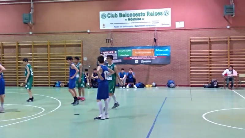 CEIP Pío Baroja - Colegio público en Mostoles - foto 2