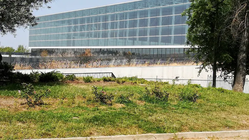 CEIP Juan Ocaña - Mostoles