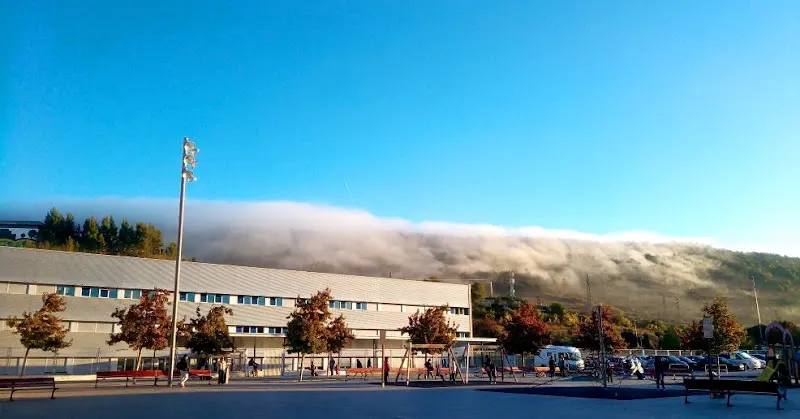 CEIP Doña Mayor de Navarra - Colegio público en Pamplona - foto 2