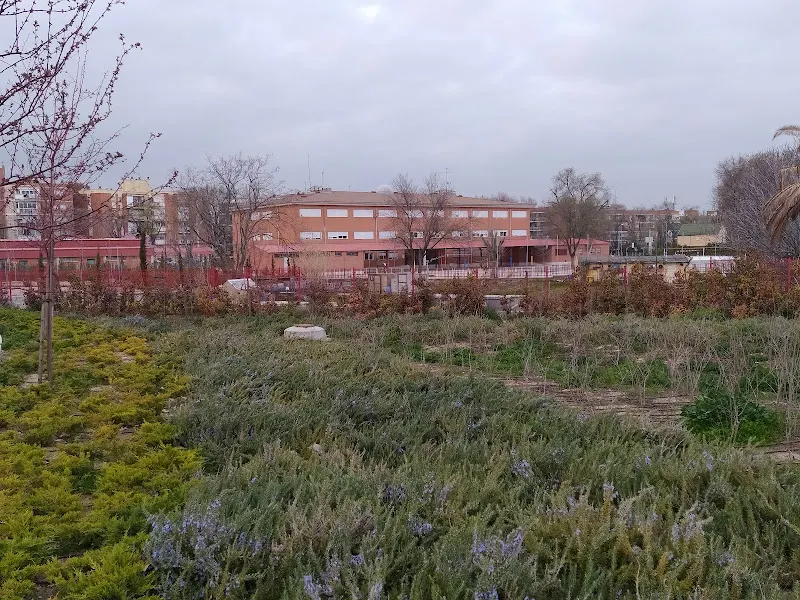 CEIP Concepción Arenal - Leganés