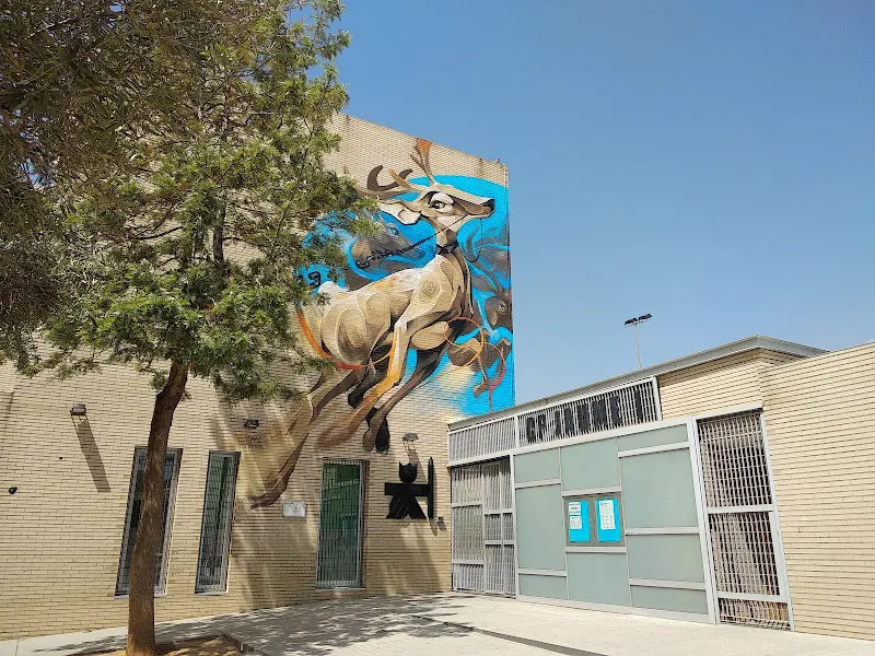 CEIP Jaume I - Castellón de la Plana