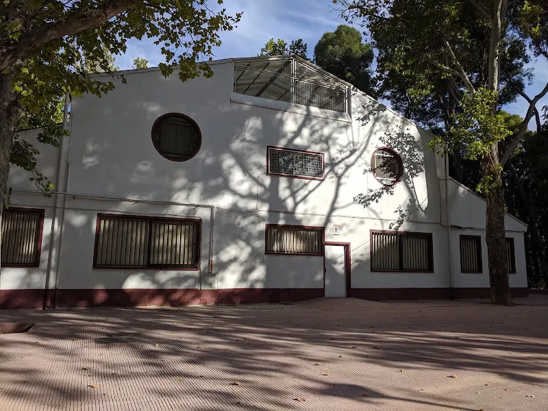 Colegio Público San Fernando - Albacete