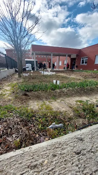 CEIP Ana María Matute - Getafe