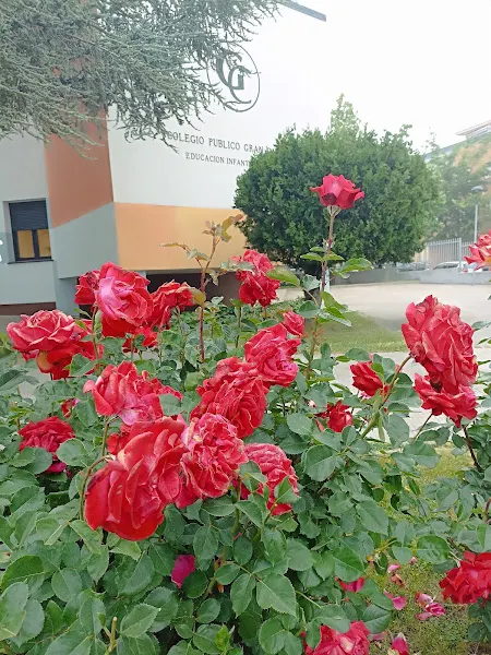 CEIP Gran Capitán